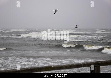 Blick von der Promenade auf die stürmisch winterliche Ostsee In mystischen balu-Grautönen Stockfoto