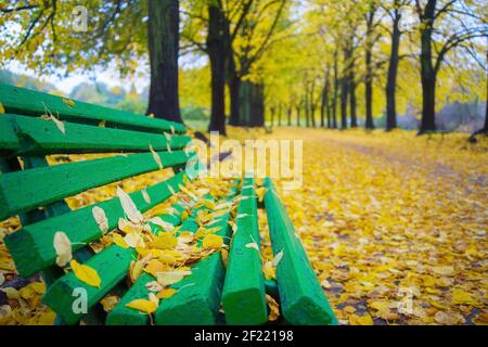 Bank Herbst Alley Park Fall Stockfoto
