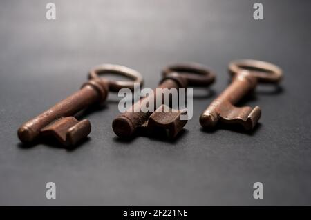 Alte rostige Schlüssel liegen in einem verlassenen Vogelnest  Stockfotografie - Alamy