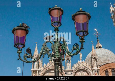 Alte, wunderschön dekorierte Laterne mit 4 Flammen vor der Kathedrale in Venedig. Tauben sitzen auf der Laterne Stockfoto