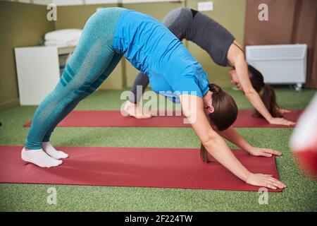 Zwei Damen, die während des Trainings in einer nach unten gerichteten Hundehaltung stehen Stockfoto