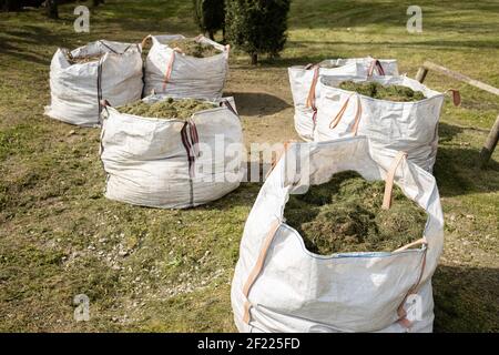 Gruppe von Säcken voll von geschnittenem Gras. Gartenpflege im Park Stockfoto