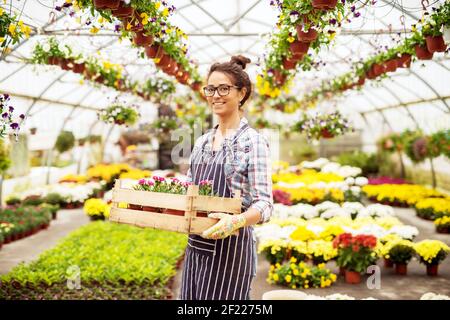 Schöne Mitte Alter hingebungsvoll Floristin Frau hält die Holzkiste mit Blumen, während im großen Gewächshaus stehen. Stockfoto