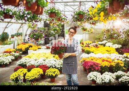 Charmante Mitte Alter hingebungsvoll Floristin Frau hält einen großen Topf mit roten Blumen stehen im Gewächshaus mit bunten Handschuhen. Stockfoto
