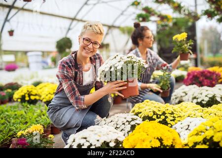 Zwei fröhliche mittleren Alters gewidmet Floristin Frau arbeitet mit Blumentöpfen im Gewächshaus. Stockfoto