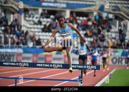 Beatrice Chepkoech (KEN) tritt an und gewinnt 3000m SC Frauen während der Meeting de Paris 2017, im Charlety Stadium, in Paris, Frankreich, am 1. Juli, 2017 - Foto Jean-Marie Hervio / KMSP / DPPI Stockfoto