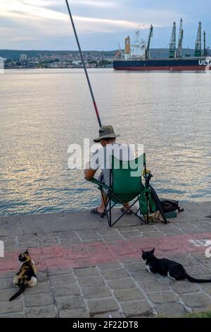Fischer in Gesellschaft von Katzen;Varna Bulgarien; Stockfoto