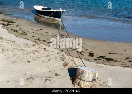 Ein kleines Fischerruderboot, das auf einem Baumstumpf verankert ist Ein Sandstrand Stockfoto