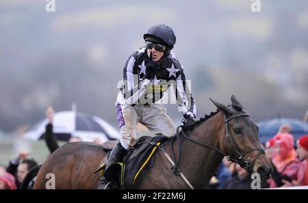 RACING CHELTENHAM FESTIVAL 2010 4TH TAG 19/3/10. DER GOLD-CUP-SIEGER PADDY BRENNAN AUF IMPERIAL COMMANDER NACH DEM LETZTEN. BILD DAVID ASHDOWN Stockfoto