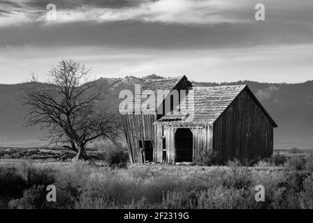 Dieses monochrome Bild zeigt eine alte Scheune im Rural Lassen County, Kalifornien, USA. Der Barde wurde lange verlassen und ist in den Verfall gefallen. Stockfoto