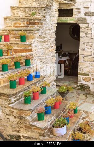 Bunte Blumentopf Dekoration auf der Treppe Stockfoto