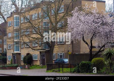 London, Großbritannien. März 2021, 10th. Poynders Court auf dem South Circular in South West London, von Interesse für die Polizei bei der Suche nach Sarah Everard. Kredit: JOHNNY ARMSTEAD/Alamy Live Nachrichten Stockfoto