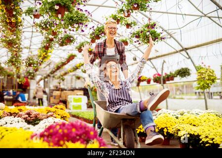 Zwei verspielte charmante Floristen Frauen genießen Arbeit, während einer von ihnen Reiten in den Wagen im Gewächshaus. Stockfoto