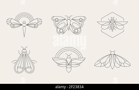 Böhmische lineare Logos, Symbole und Symbole, Insekten, Schmetterling, Libelle und Motte Design-Vorlagen, geometrische abstrakte Design-Elemente für die Dekoration. Stock Vektor