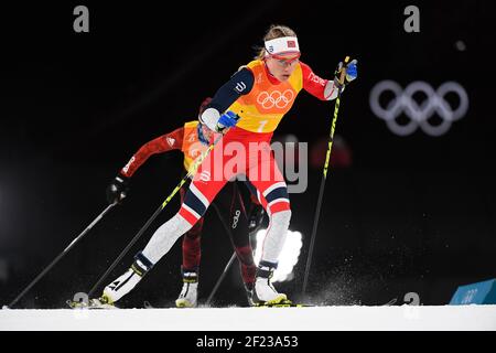 Ragnhild Haga (NOR) mit Team Norwegen gewinnen die Goldmedaille während der XXIII Olympischen Winterspiele Pyeongchang 2018, Langlaufen, Frauen 4x5km-Staffel, am 17. Februar 2018, Im Alpensia Cross-Country Center in Pyeongchang, Südkorea - Foto Julien Crosnier / KMSP / DPPI Stockfoto