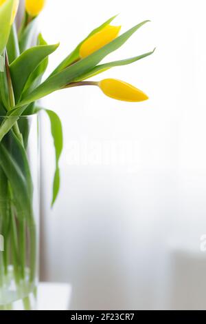 Bouquet von gelben Tulpenblüten in Vase auf grauem Hintergrund. Konzept für Grußkarte zu Ostern, Muttertag, Internationaler Frauentag, Saint Valen Stockfoto