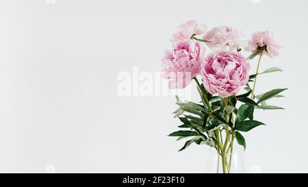 Pfingstrosen-Bouquet in Vase auf weißem Tisch Stockfoto