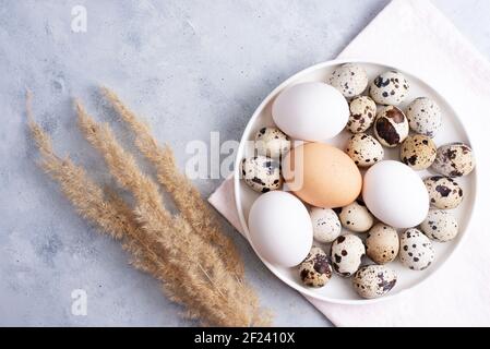 Hühner- und Wachteleier auf weißem Teller mit pompösem Gras auf grauem Hintergrund, Osterkonzept, Draufsicht, Kopierraum, Nahaufnahme. Stockfoto