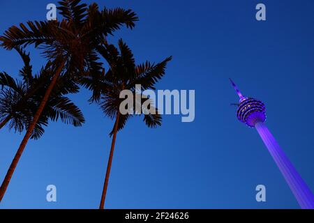 KL Tower in der Nacht: Der Kuala Lumpur Tower, beleuchtet in purpurem Licht mit Palmen Stockfoto