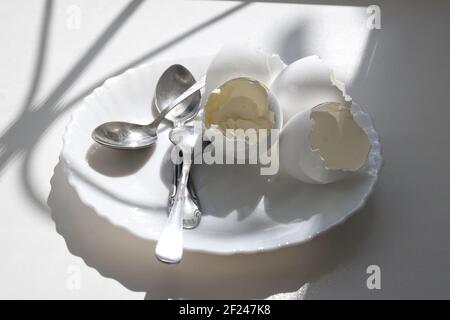 Gegessen weich gekochte Eier in einem eleganten Teller mit Teelöffel. Morgenmahlzeit unter der Sonne aus dem Fenster Stockfoto