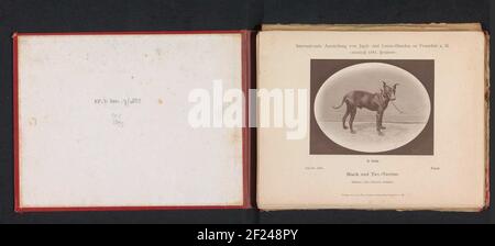 Schwarz und Terriër Faust die Een Tweede Prijs heeft gewann OP DE Internationale Ausstellung für Jagd und Luxushunde im Jahr 1891; Schwarz und Tan Terrier; Internationale Ausstellung für Jagd und Luxushunde nach Frankfurt a.. M. 1891 ... Stockfoto