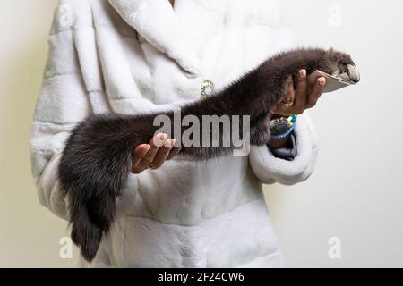 Teure braune Nerzfell Haut in einer Frau Hände. Stockfoto