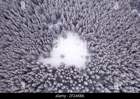 Luftdrohne oben fliegen über Winter Fichte und Kiefernwald mit Holzhütte. Tannenbäume im Bergtal mit Schnee bedeckt. Landschaftsfotografie Stockfoto