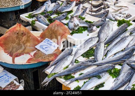 Verschiedene Arten von Fischen zum Verkauf auf dem Markt Stockfoto