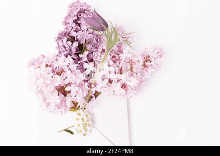 Flieder Bouquet in einem rosa Umschlag, Frühlingsgrüße auf weißem Hintergrund. Flach liegend, Draufsicht Stockfoto