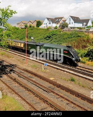 LNER Class A4 Pacific No 60019 Bittern Ankunft in Weymouth mit dem Dorset Coast Express. 11th. August 2010. Stockfoto