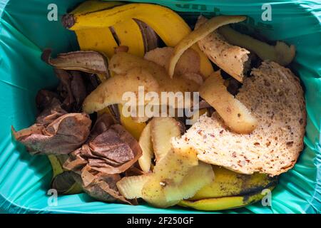 Blick nach unten in den Küchenkorb mit Essensresten im Inneren einschließlich Teebeuteln, Teebeuteln, Brot und Bananenhäuten, die bereit sind, Kompost herzustellen Stockfoto