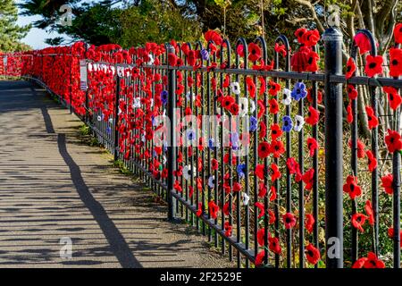 FOLKESTONE, Kent/UK - 12. NOVEMBER: Mohnblumen auf dem Geländer im War Memorial Square in Folkestone am 12. November 2019 Stockfoto