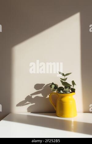 Ein gelber Keramikkrug oder eine Vase mit Eukalyptuszweigen, leere weiße Bilderrahmen auf dem weißen Tisch im Innenraum mit beigen Wänden in der Nähe des Fensters. Stockfoto