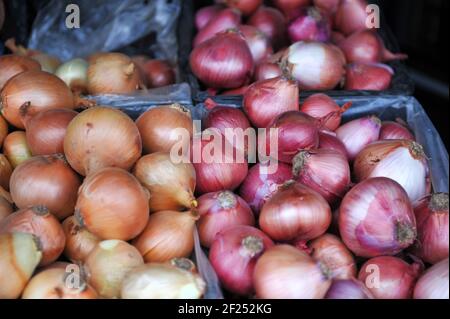 Zwiebeln zum Verkauf auf einem Bauernmarkt , Bild Stockfoto