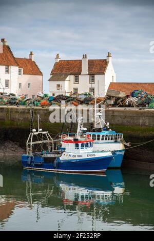 Fischerhafen Pittenweem, East Neuk of Fife, Schottland Stockfoto