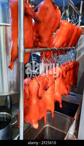 Eingelegte Entenkadaver, die an Haken hängen, zum Braten vorbereitet. Wiederherstellung des Geschäfts. Pekingente. Chinesische Küche. Stockfoto