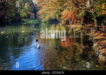 Herbst Szene am See in Parco di Monza Stockfoto