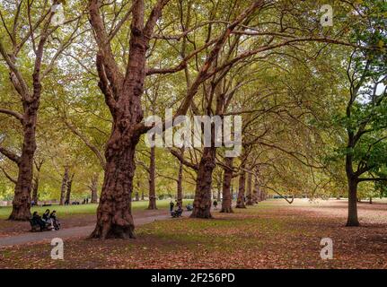 London, Großbritannien - September 20 2018: Zufällige Menschen in einem öffentlichen Park, am Nachmittag, im Herbst. Großraum London, England. Stockfoto