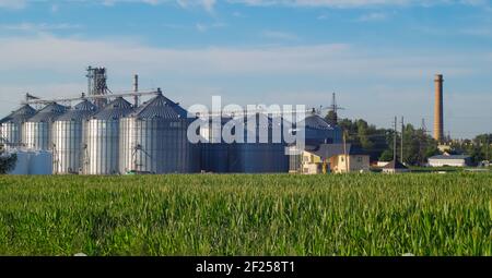 Getreidespeicher, Aufzug - ein Industriekomplex für Lagerung, Sortierung. Agro-Verarbeitung und Fertigungsanlage. Agrarkomplex. Stockfoto