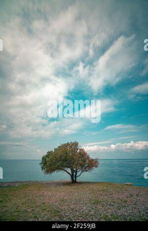 Blick auf das traditionelle griechische Dorf Milatos, Kreta, Griechenland. Stockfoto