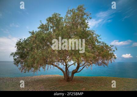 Blick auf das traditionelle griechische Dorf Milatos, Kreta, Griechenland. Stockfoto