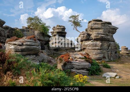 Malerischer Blick auf Brimham Rocks in Yorkshire Dales National Park Stockfoto