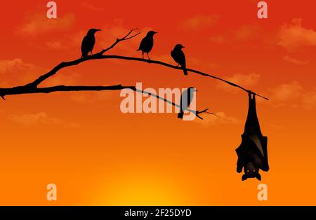 Silhouettierte Sternvögel sehen neugierig aus, wie sie auf einem Baumglied roost und den Raum mit einer Fledermaus teilen, die am Ende ihrer Gliedmaßen hängt. Stockfoto