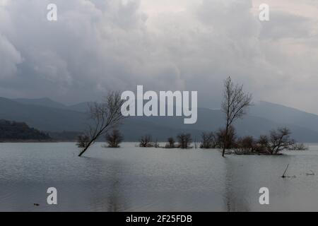 Ein Bergsee und Stausee mit Treibholz und toten Bäumen Und eine Berglandschaft dahinter Stockfoto