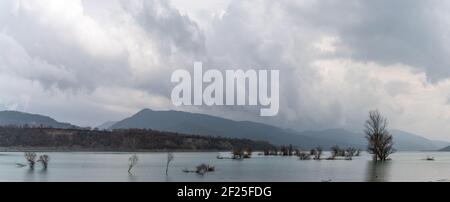 Ein Panorama von einem Bergsee und Stausee mit Treibholz Und tote Bäume und eine Berglandschaft dahinter Stockfoto