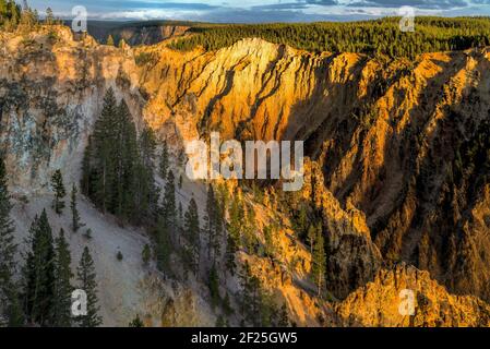 Grand Canyon von Yellowstone Stockfoto