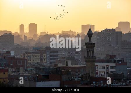 Vögel, die bei Sonnenuntergang über einem stimmungsvollen Stadtbild von Kairo fliegen, vom Al Azhar Park, der Salah Salem St, El-Darb El-Ahmar, Kairo, Ägypten aus gesehen Stockfoto