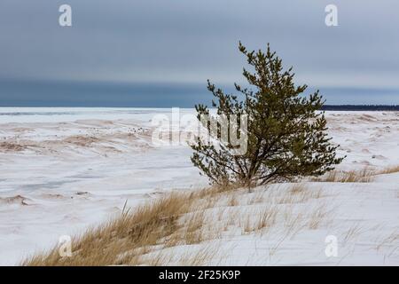 Lake Superior Küstenlinie östlich von Marquette im Februar, Michigan, USA Stockfoto