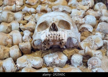 Schädel und Knochen aus nächster Nähe in der Chapel of Bones In Faro Stockfoto