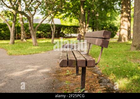 Alte Holzbänke im Park an einem schönen sonnigen Sommertag. Stockfoto
